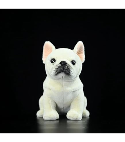 Amazon.co.jp: ふわふわで可愛いクリームフレンチブルドッグの